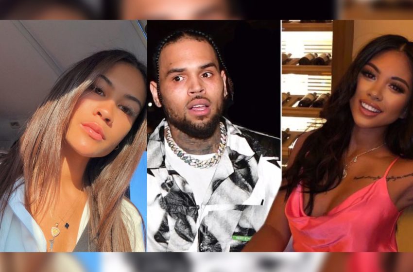 Diamond Brown Was Living With Chris Brown During Ammika Harris Pregnancy and Still Is
