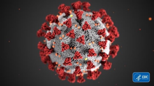  Two More Unknown Origin Cases Of The Coronavirus In The US