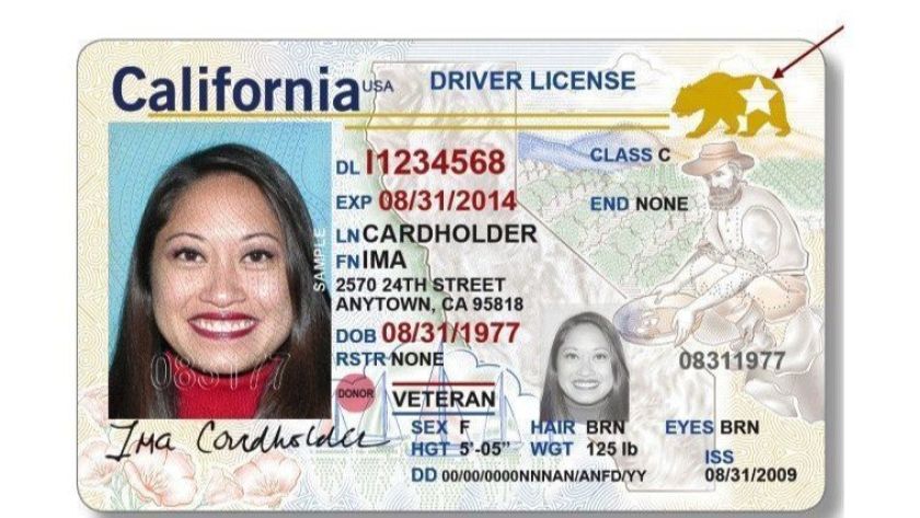  We Will Soon Need a Special I.D to Travel Throughout the USA