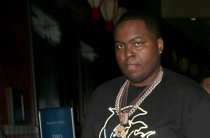  Sean Kingston Detained By Police For Guns He Didn’t Have