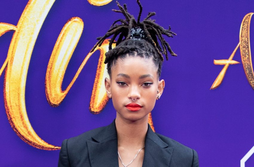  Willow Smith Plans To Trap Herself In A Box For 24 Hours As Performance Art