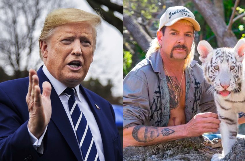  Donald Trump Says He’s Going To “Take a Look” Into Joe Exotic Presidential Pardon