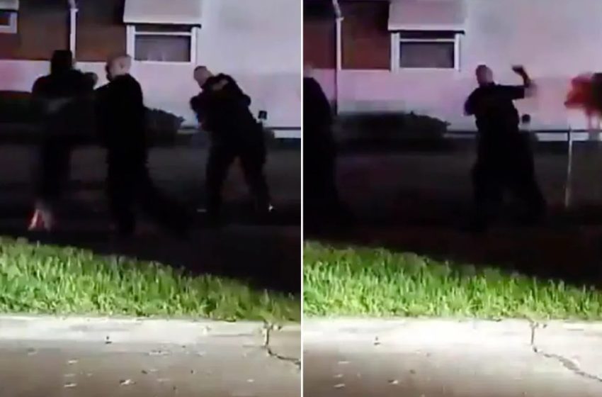  White Michigan Cop Caught on Video Allegedly Repeatedly Punching A Black Woman