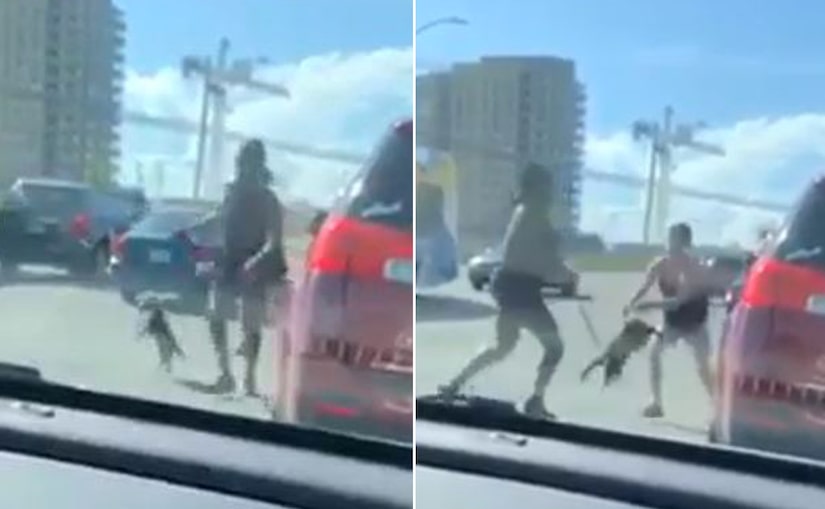  Woman Uses Dog As Weapon In Road Rage Incident, Caught On Video