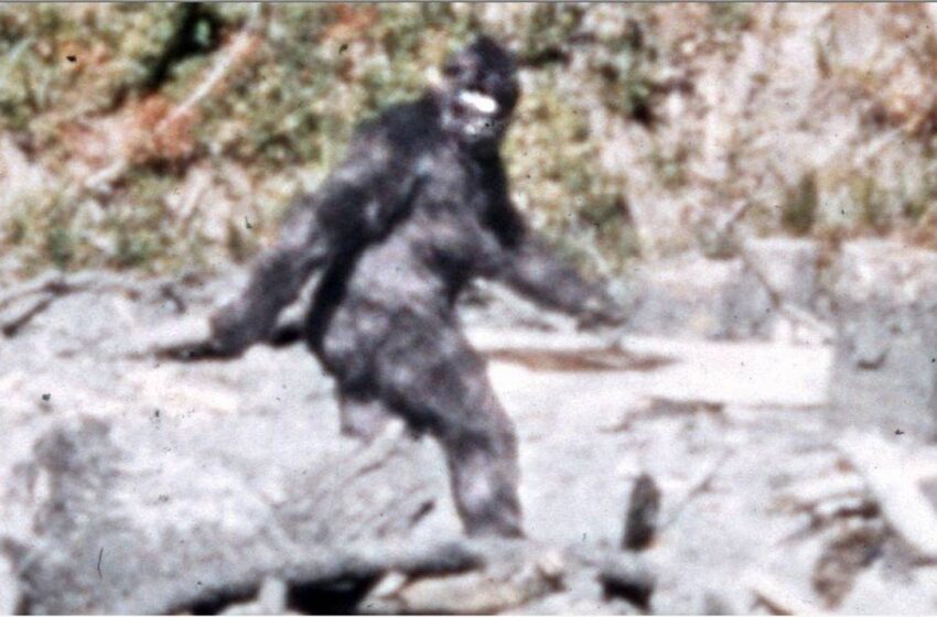  Oklahoma Sets Bounty At $2.1 Million For Anyone Able To Capture BigFoot Alive And Unharmed