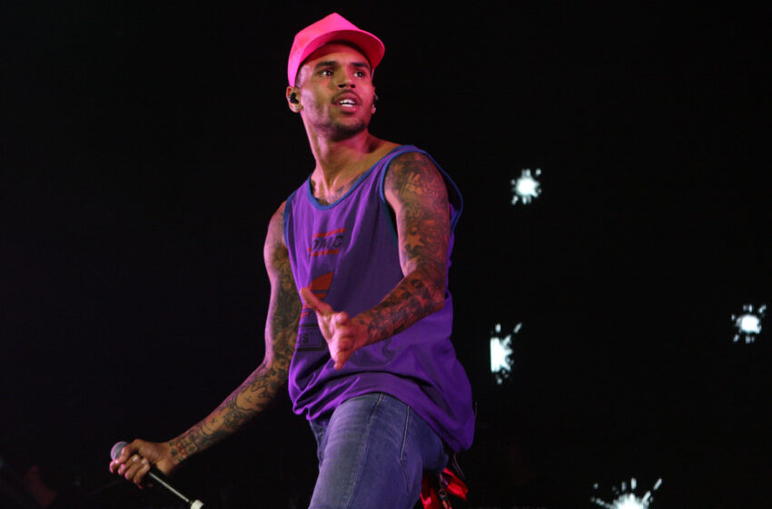  Chris Brown Sued By His Housekeeper, Says His Dog Allegedly Attacked Her Sister