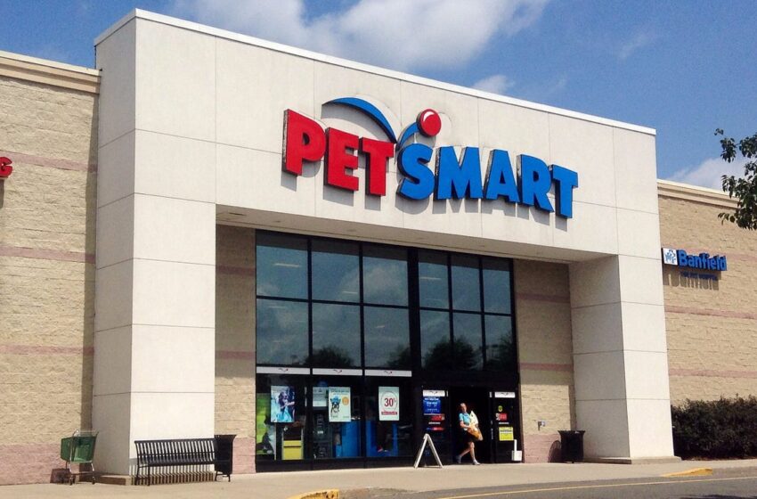  Death Of Dog At Pittsburg  PetSmart Leads To 4 Employees Charged With Animal Cruelty