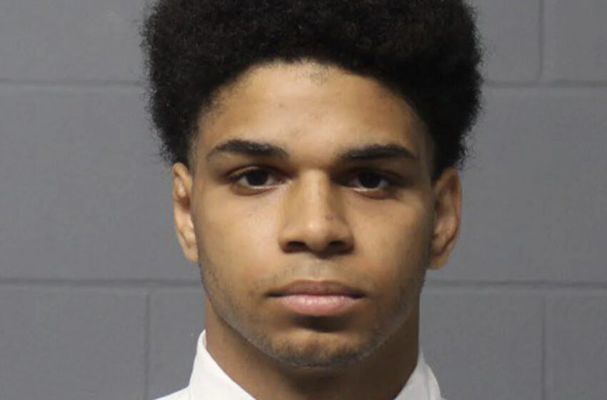  Boston Teen Arrested For Allegedly Sexually Assaulting A Horse