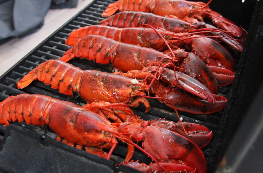  UK Considering Legislation To Ban Boiling Live Crabs & Lobsters