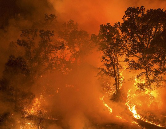  California Couple Criminally Charged In El Dorado Wildfire Ignited By Gender Reveal