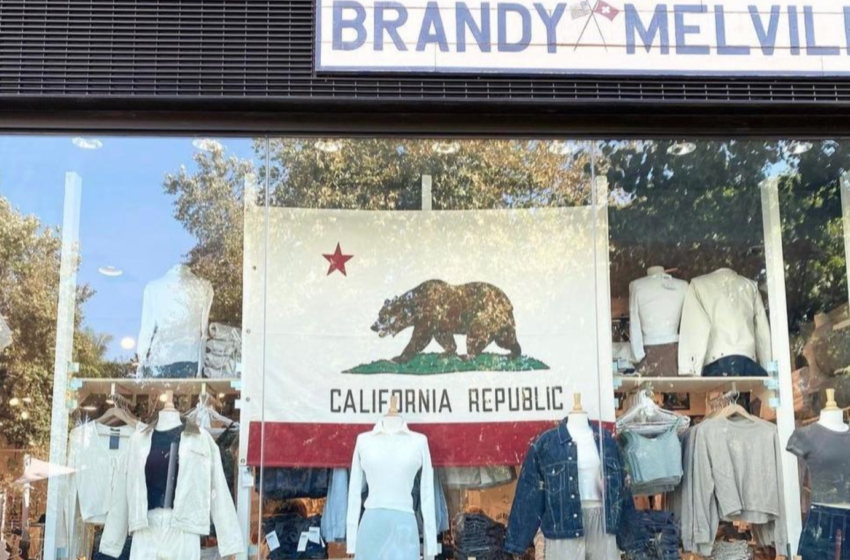  Brandy Melville’s CEO Admits He Doesn’t Hire Black Or Fat Women To Work In His Stores, According To Reports