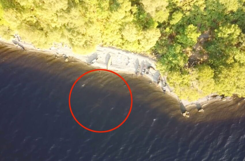  Drone Footage Allegedly Captures The Loch Ness Monster, Claims An Outdoorsman From The U.K.