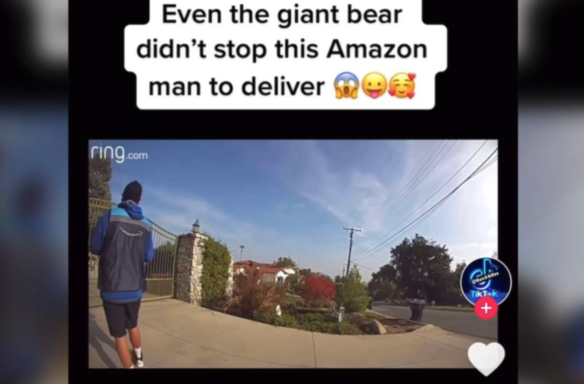  Amazon Driver Delivers Package To Home Despite Huge Bear Being Outside