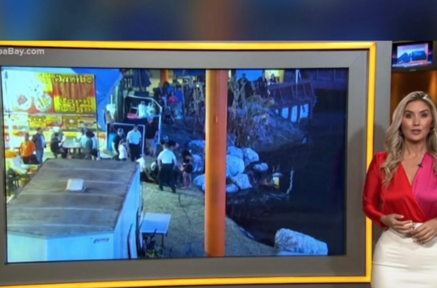  7-Year-Old Girl Falls Roughly 40 Feet From Ride At The Fair