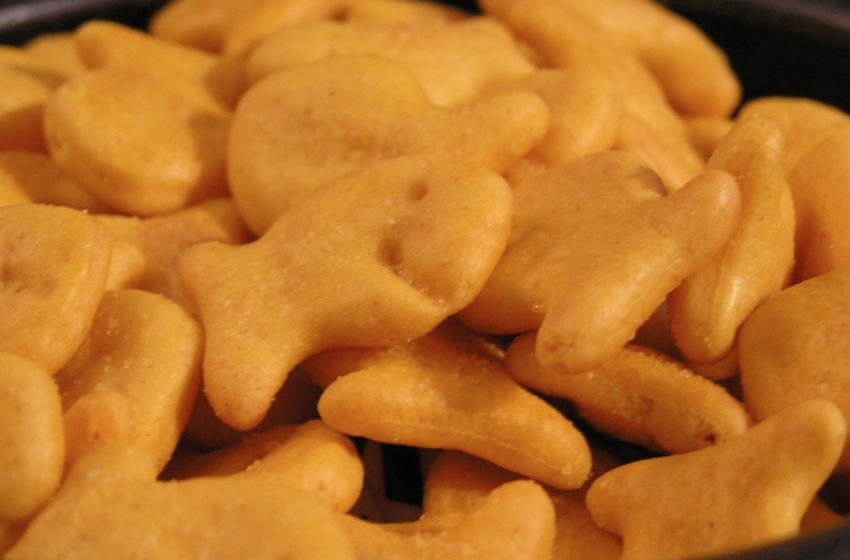  Toddlers Hospitalized After Eating Goldfish Crackers Laced With THC