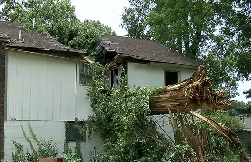  2 Babies Dead After A Tree Falls And Crashes Through Roof Of Alabama Home