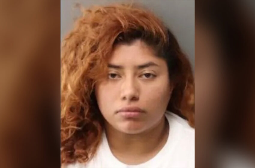  Woman Dressed Up As A Nurse In An Attempt To Kidnap A Baby From The Hospital, Police Say