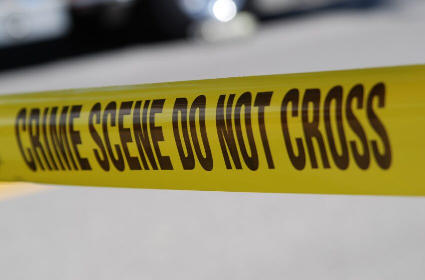 9-Year-Old Carried 11-Month-Old Brother To Safety After Man Carjacks Their Mother’s Car With Children Inside and Then Dumps Them Blocks Away