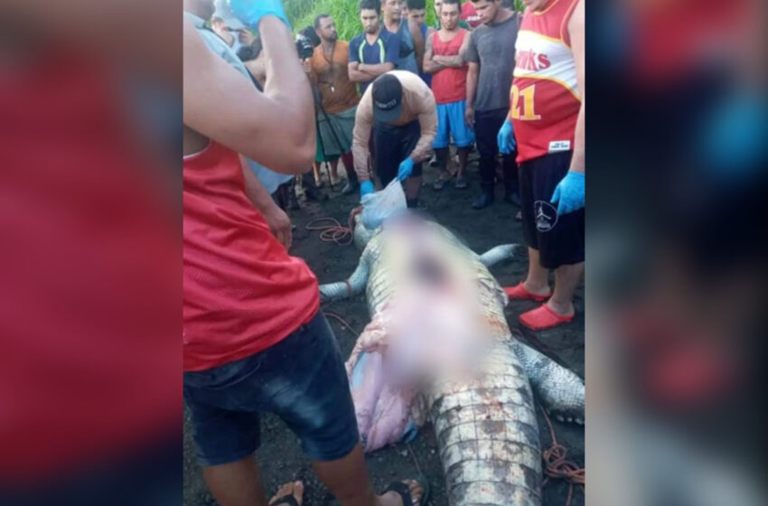  8-Year-Old Attacked And Beheaded By Crocodile In Front Of His Parents