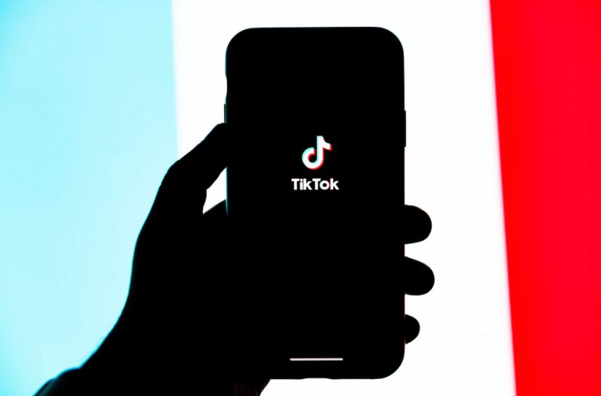  TikTok Files Federal Lawsuit Against Montana Over New Law Banning the App
