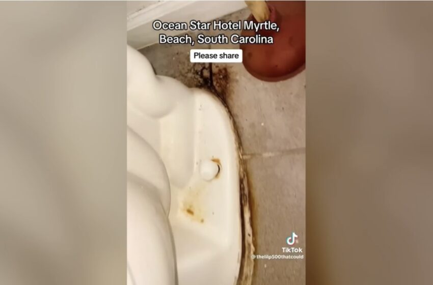  Man Says A South Carolina Hotel Will Only Refund Him For Mold-Covered Hotel Room If He Takes Down His Viral TikTok Video